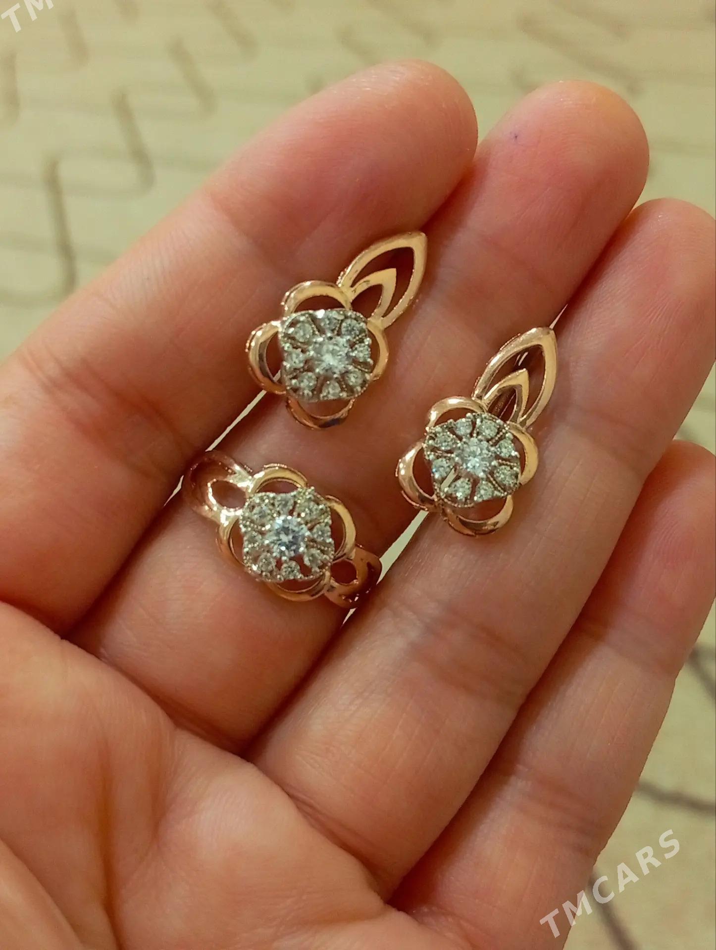 Gyzyl kampilekit - Ашхабад - img 4