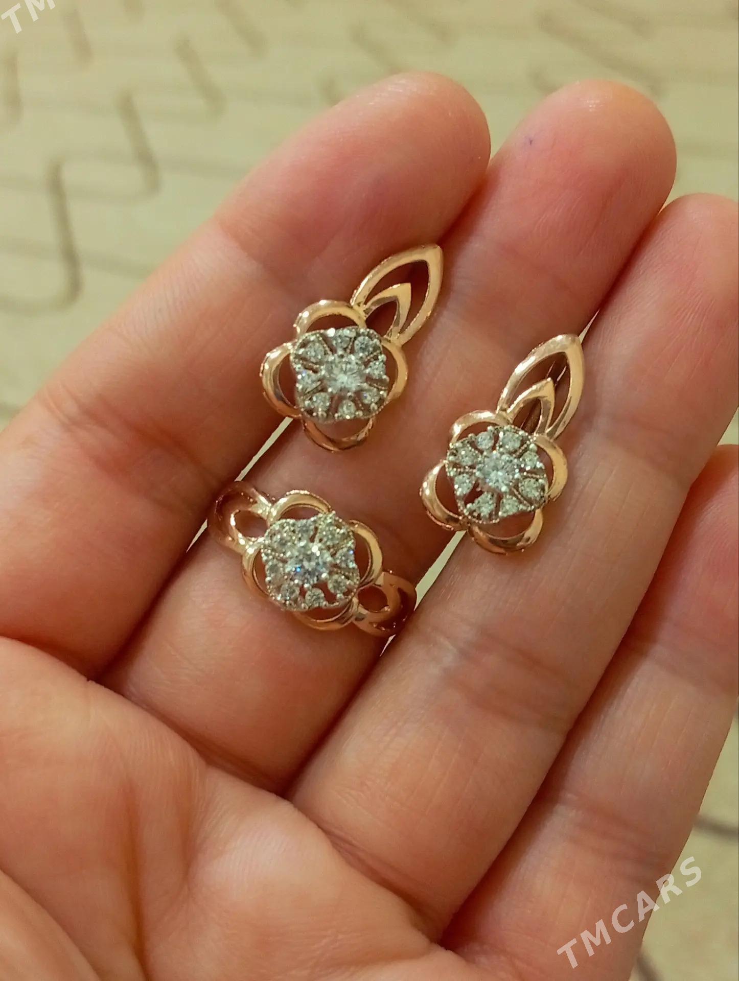 Gyzyl kampilekit - Ашхабад - img 2