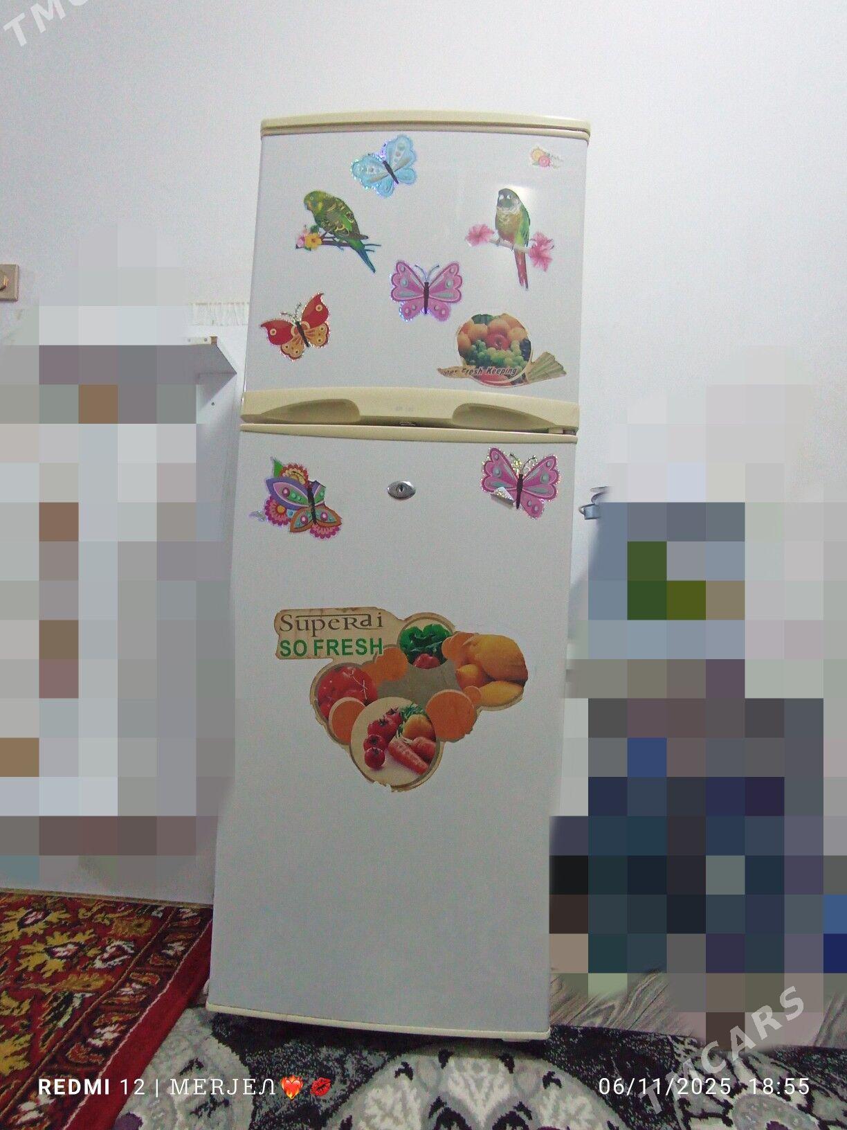 holadilnik - Tejen - img 1