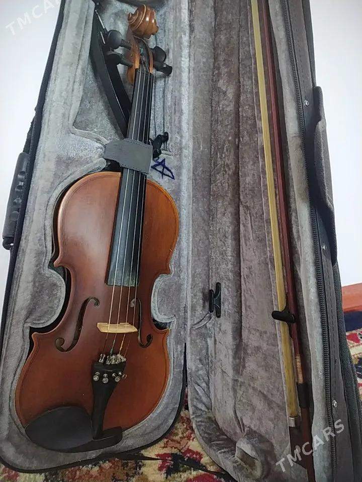 Скрипка - Туркменабат - img 1