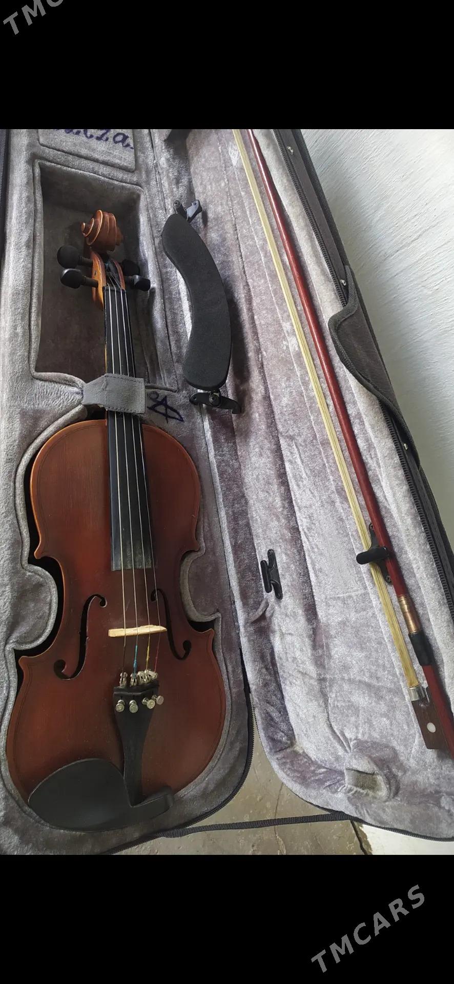 Скрипка - Туркменабат - img 3