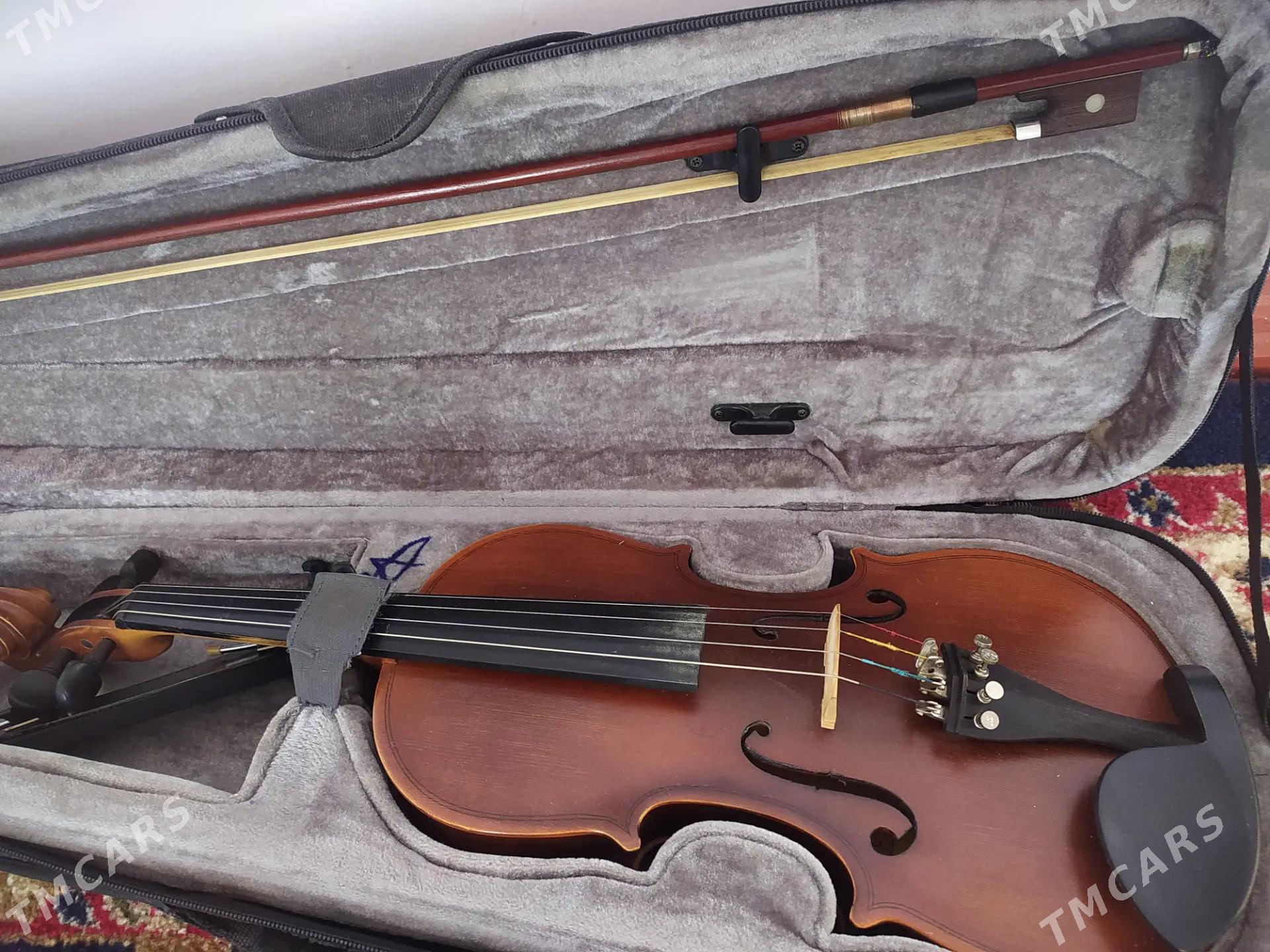 Скрипка - Туркменабат - img 2