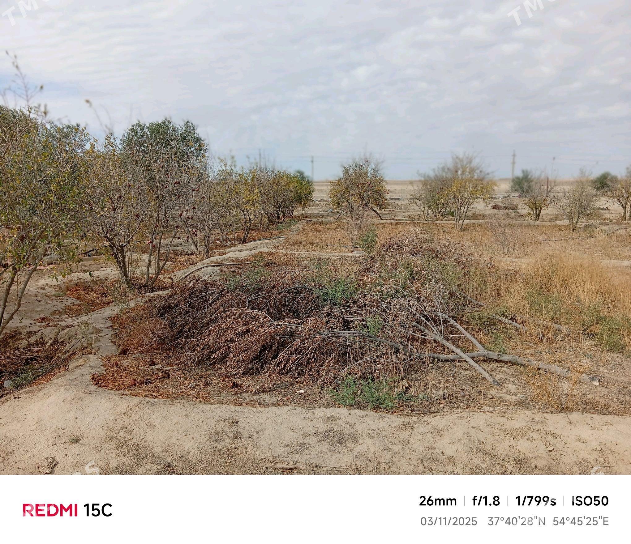 SATLYK JAY - Этрек - img 7