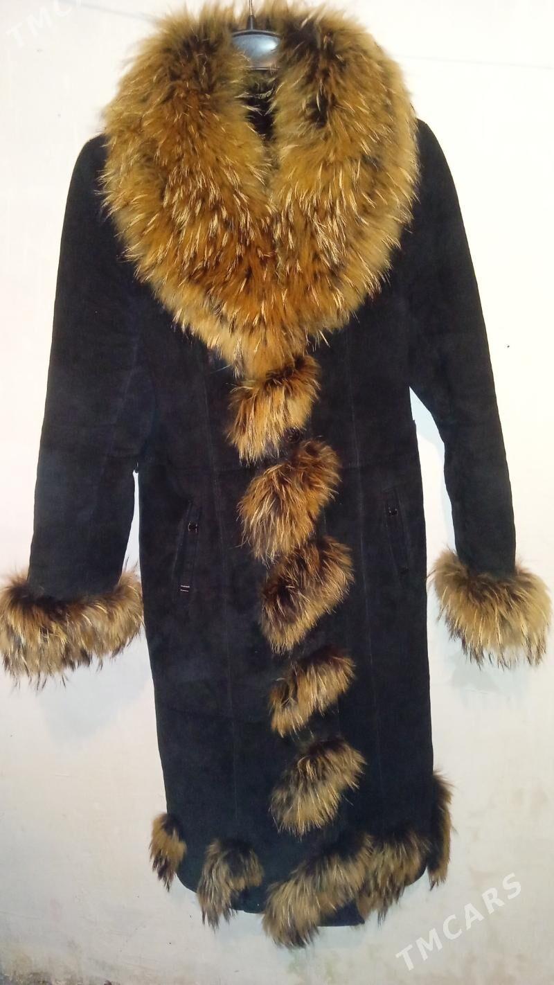 palto - Бекреве - img 1