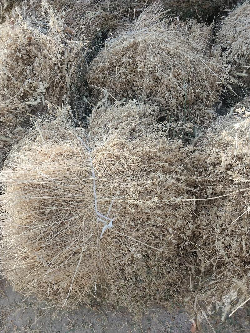 Yorunja bede - Гёкдепе - img 4