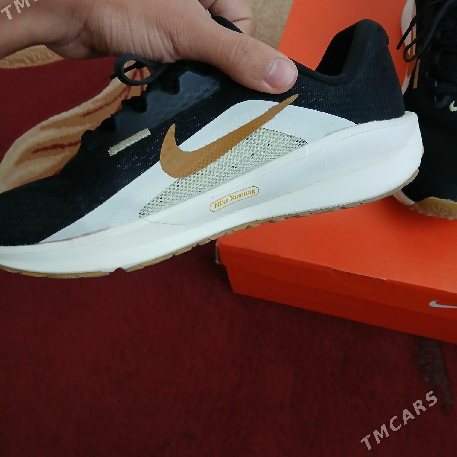 Krosowka - Aşgabat - img 2