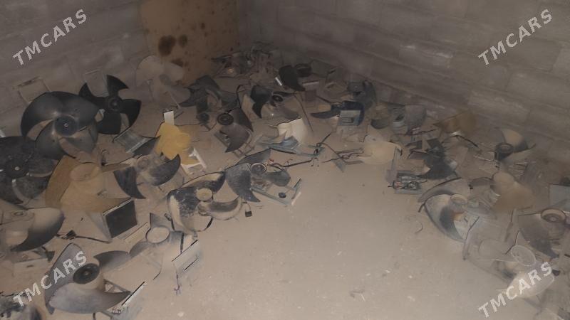 Baraban matorcik lopuslar - Garadamak - img 2