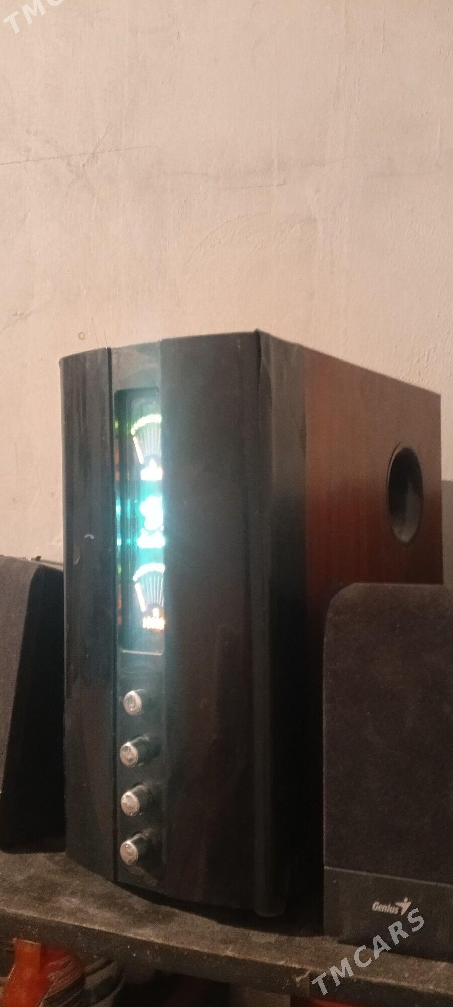 Ulitel bas bocka - Ýalkym - img 4