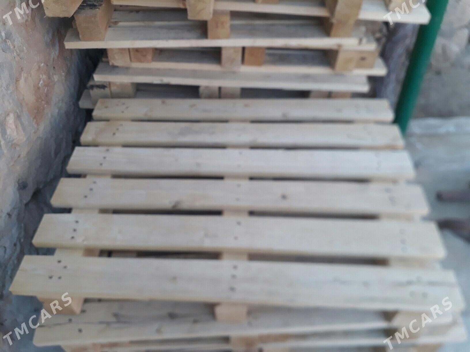 Paddon - Jebel - img 2