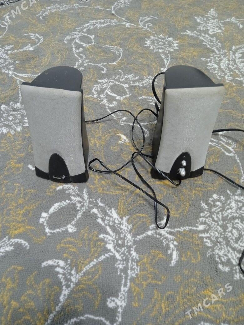 Kampyuter kalonka - Daşoguz - img 2