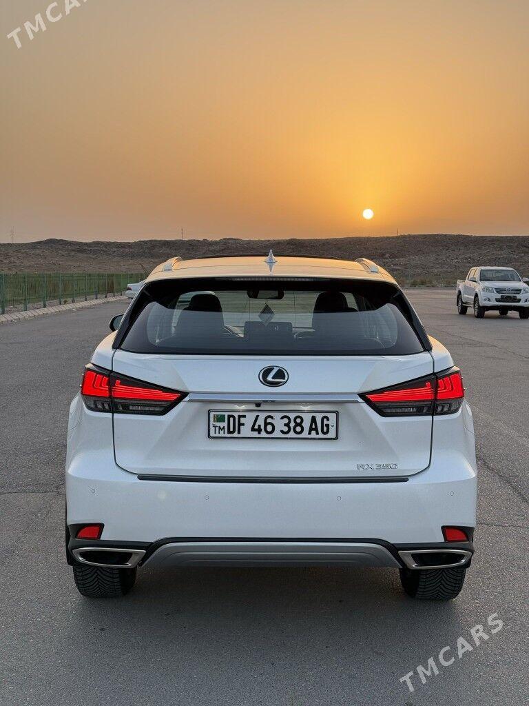Lexus RX 350 2020 - 705 000 TMT - Ашхабад - img 6