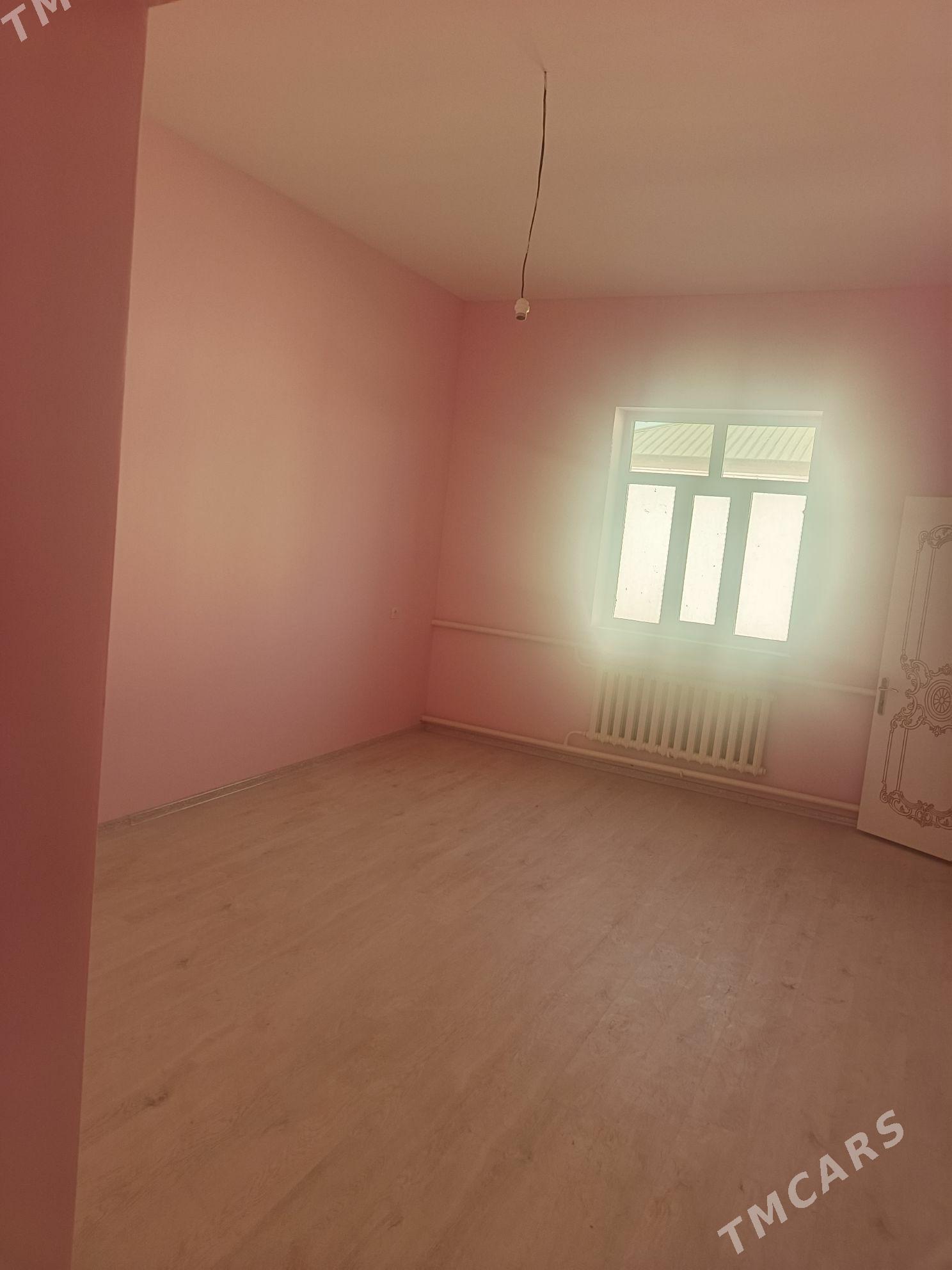 jay padwali - Daşoguz - img 5