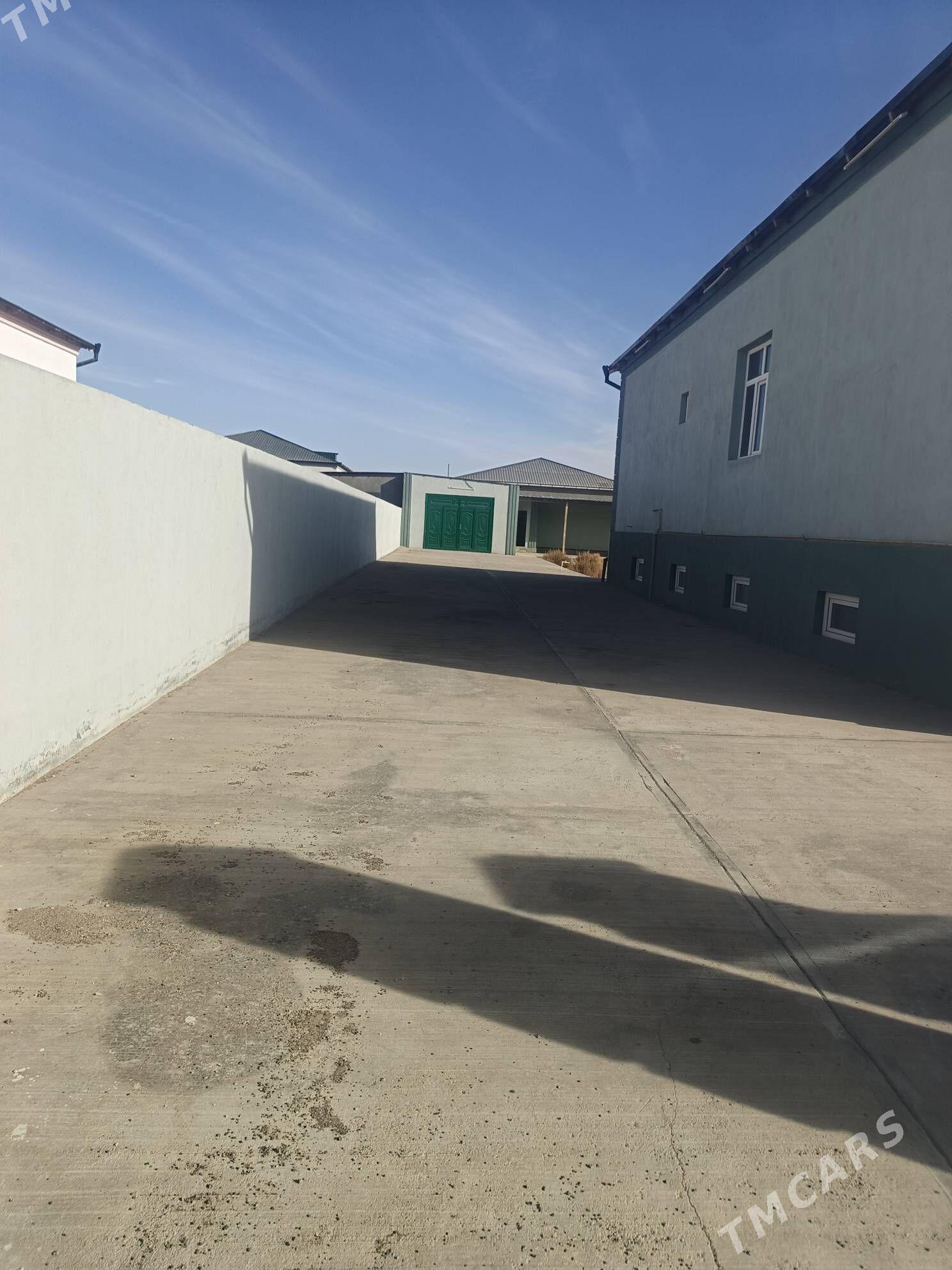 jay padwali - Daşoguz - img 2