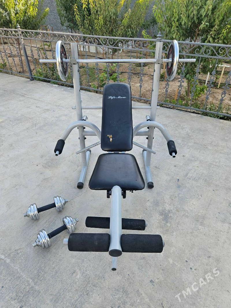 trenazhor - Änew - img 2