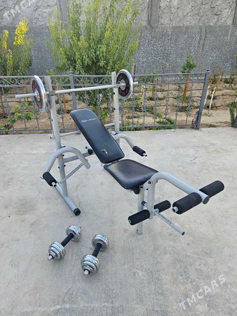 trenazhor - Änew - img 3