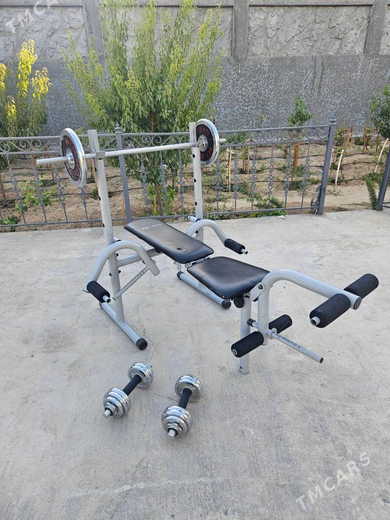 trenazhor - Änew - img 1