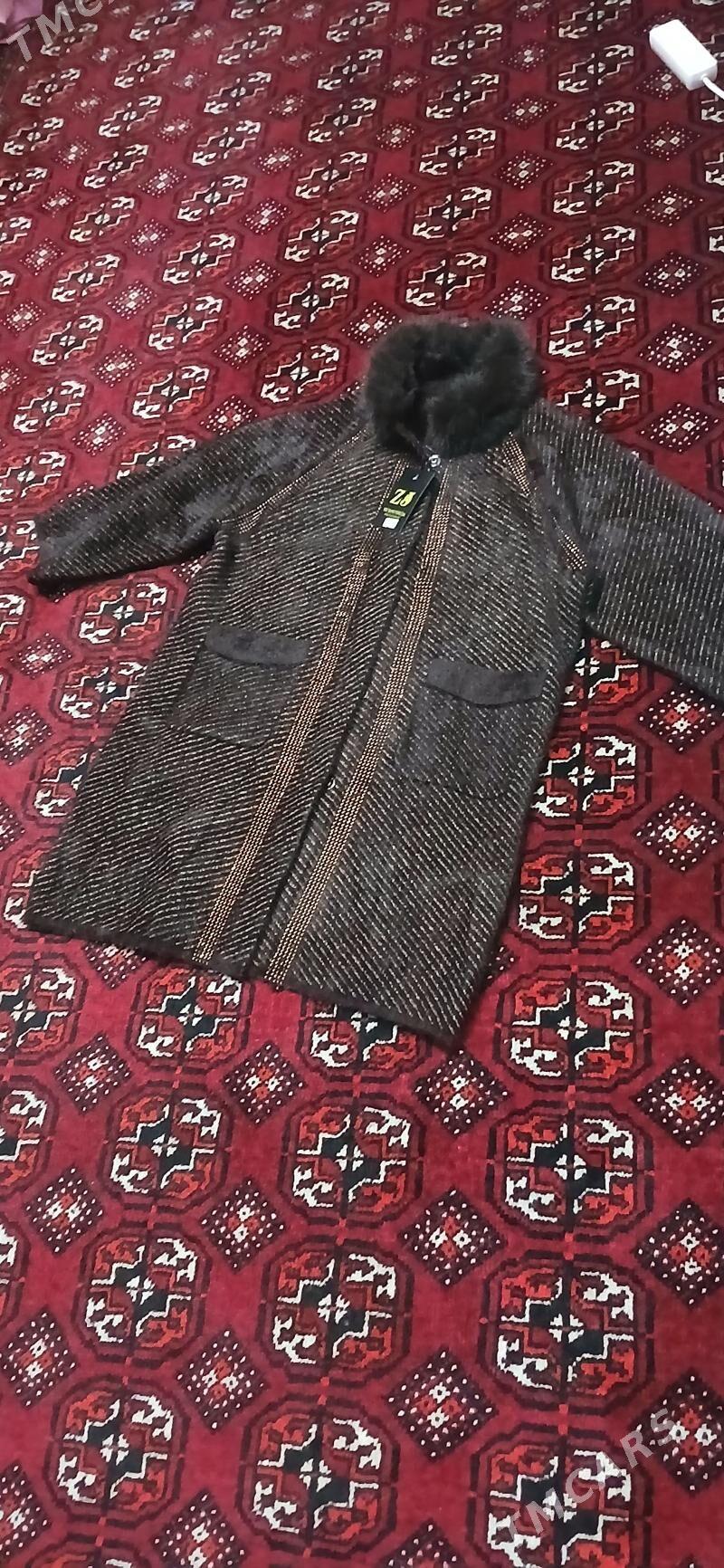 žempir - Ашхабад - img 3