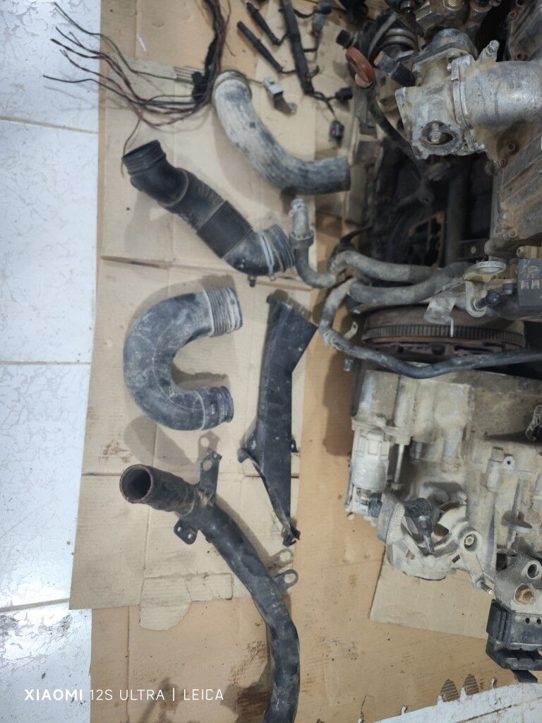 tiguan zapcaslary kop zady bar 15 500 TMT - Balkanabat - img 5