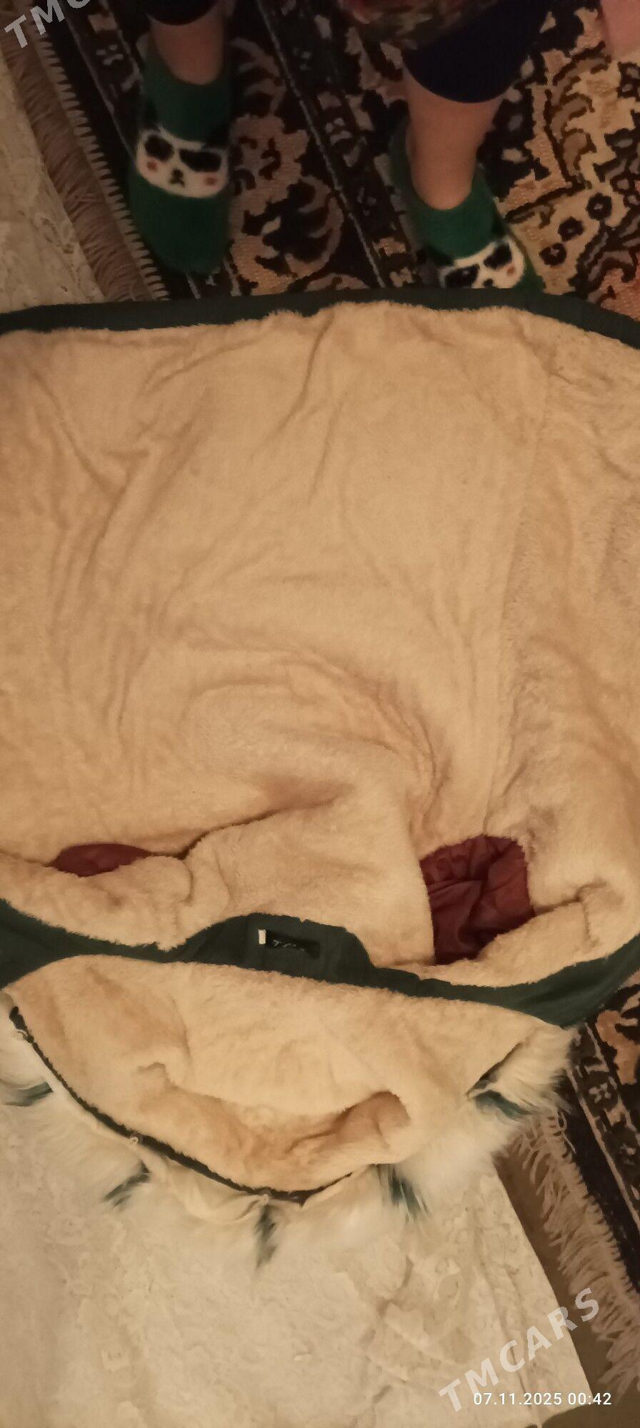 Kurtga - Türkmenabat - img 3