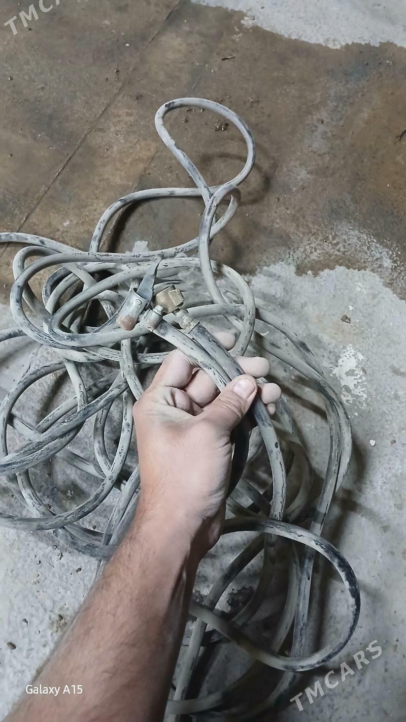 slanga - Mary - img 1