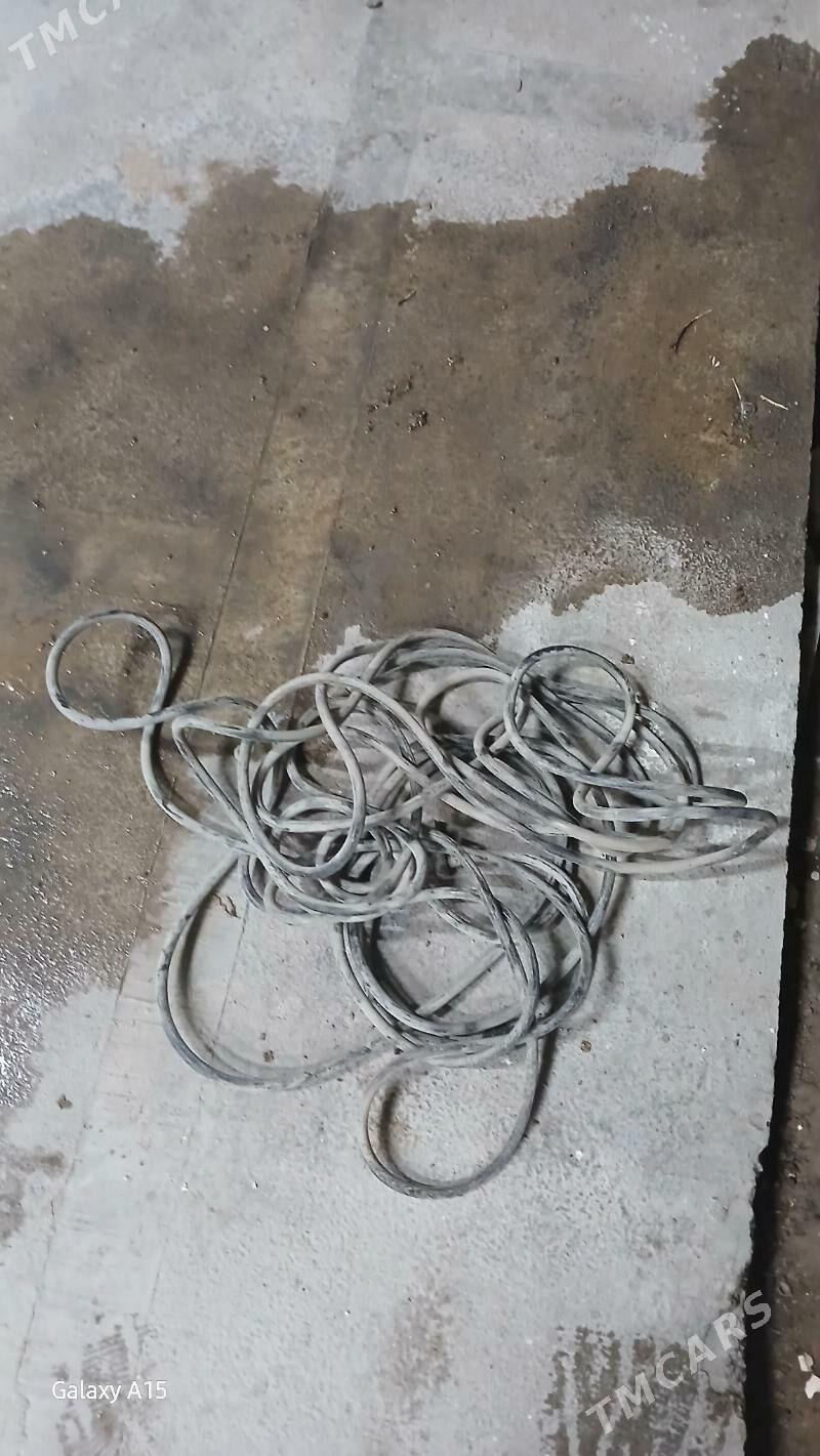 slanga - Mary - img 4