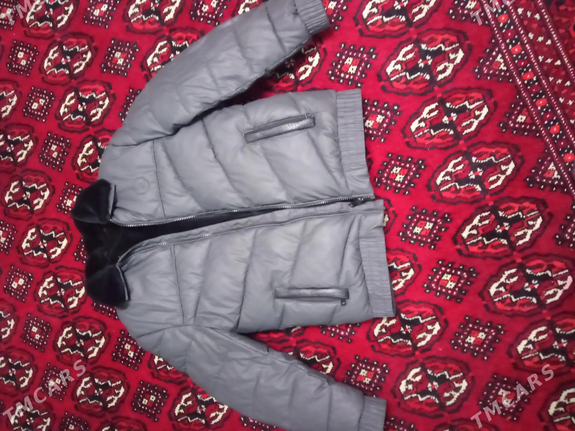 kurtkalar - Daşoguz - img 1