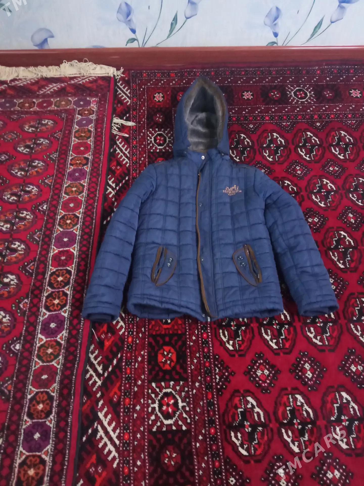 kurtkalar - Daşoguz - img 7