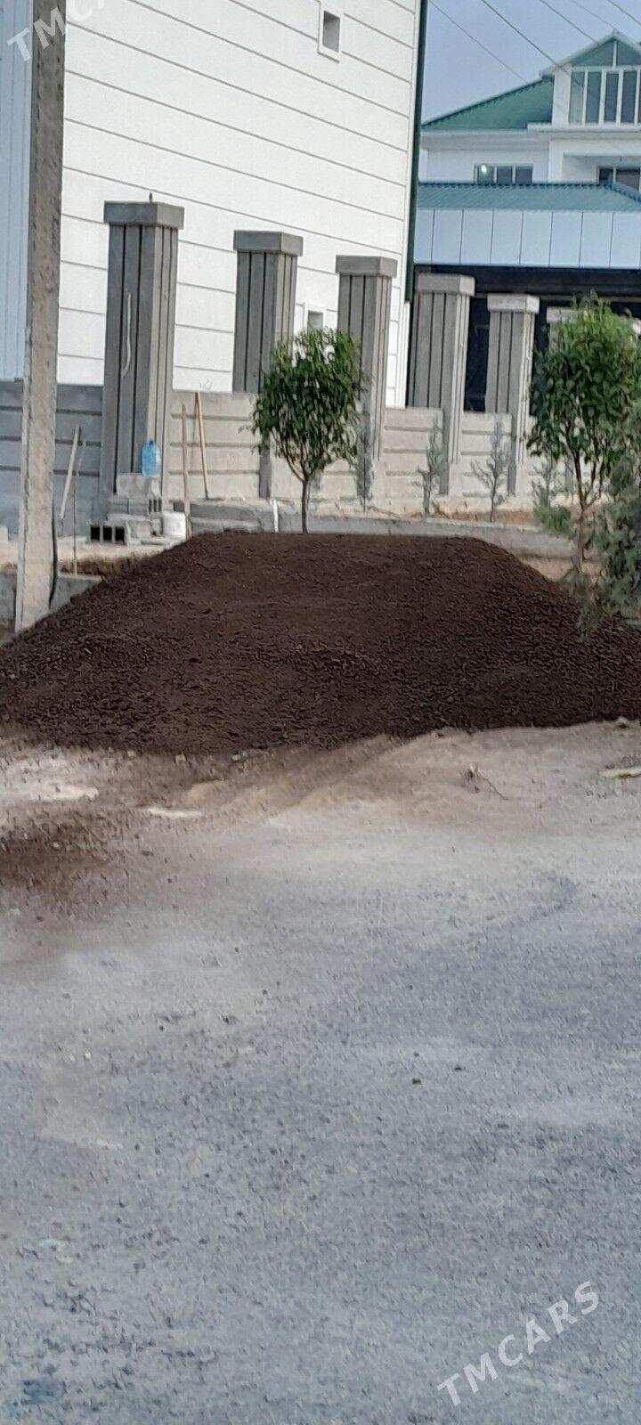 Ders - Ашхабад - img 1