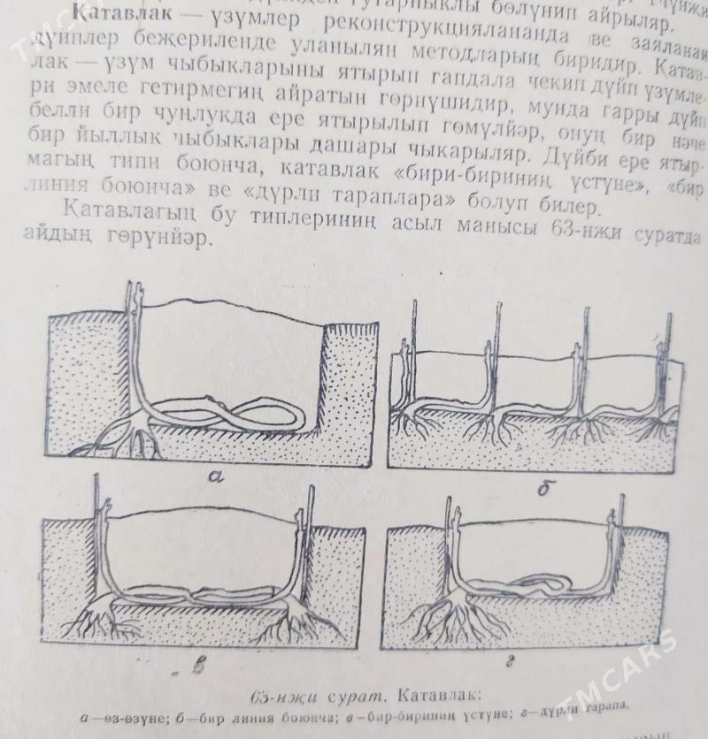Kitap - Бузмеин - img 10