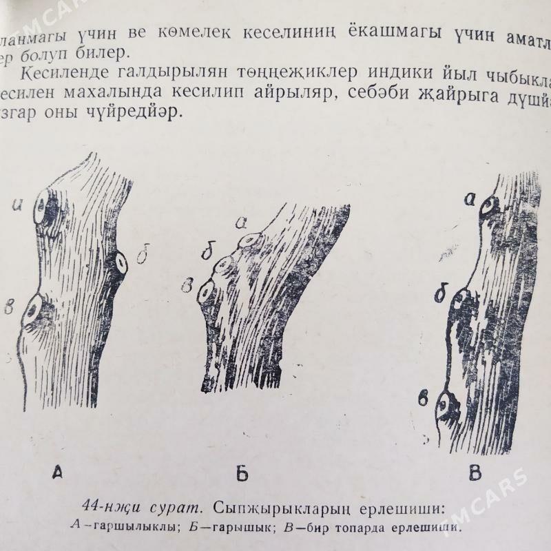 Kitap - Бузмеин - img 6