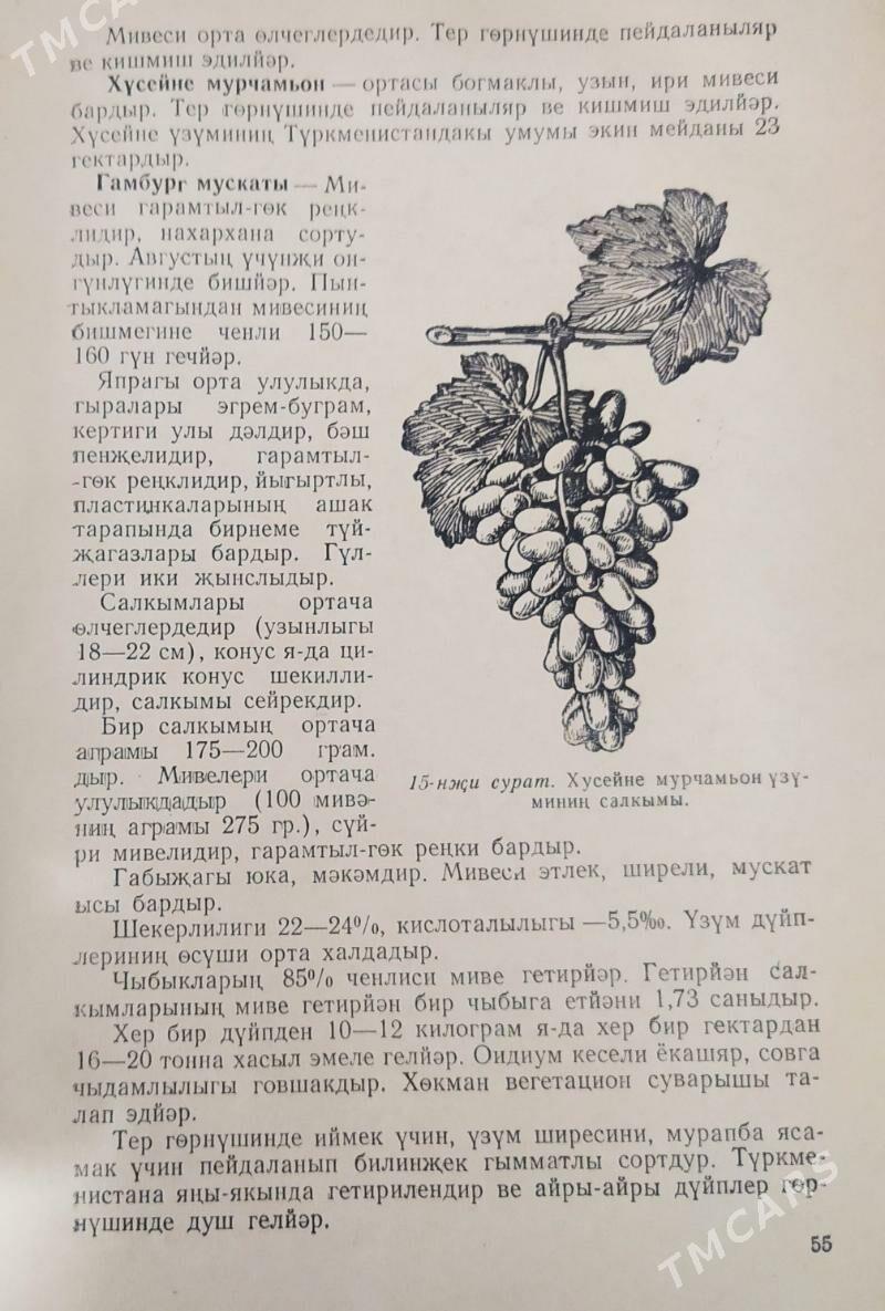 Kitap - Бузмеин - img 2