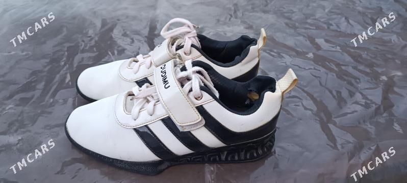 штангетки - Туркменабат - img 1