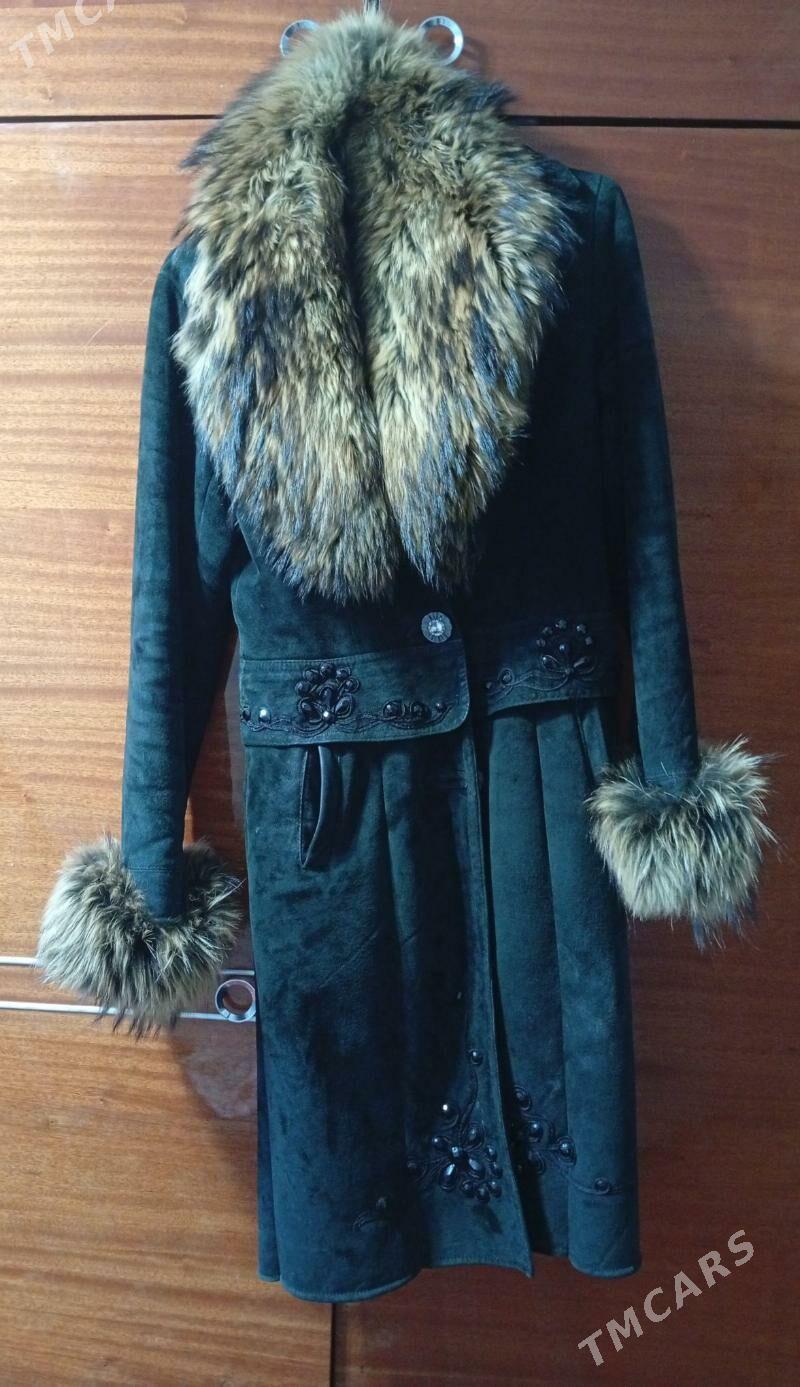 palto - Daşoguz - img 4