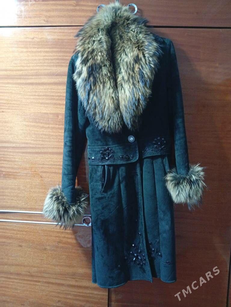 palto - Daşoguz - img 3