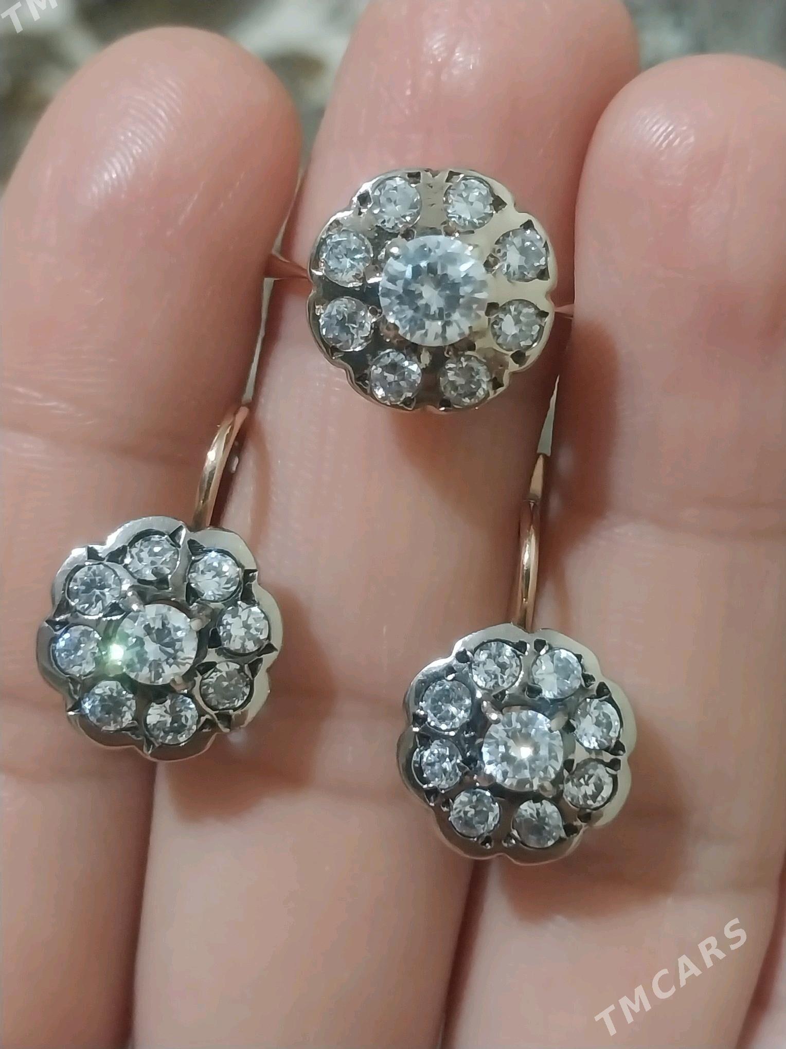 Gadymy Tulpan - Aşgabat - img 1