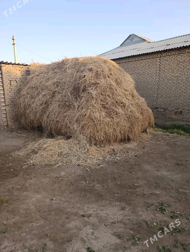 Mal Ot yorunja on - Мары - img 2