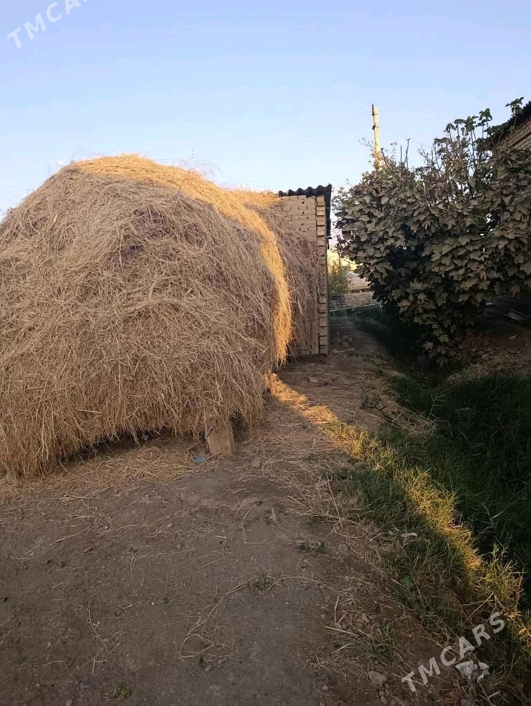 Mal Ot yorunja on - Мары - img 1