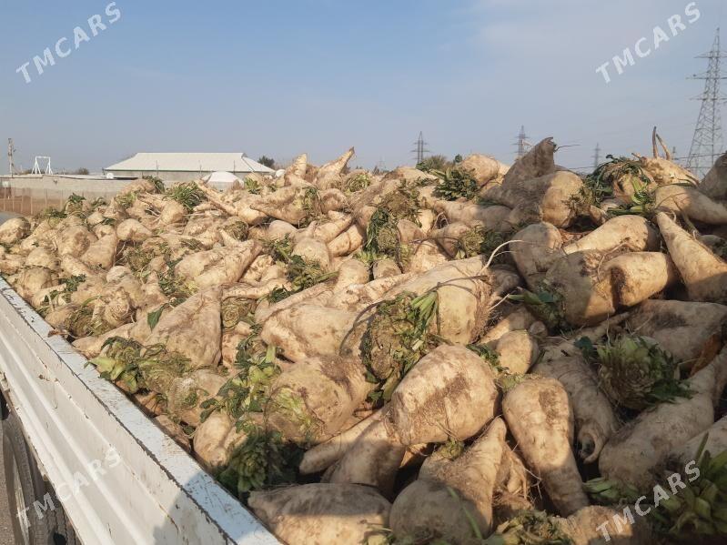 mal sugundur - Ак-Бугдайский этрап - img 1