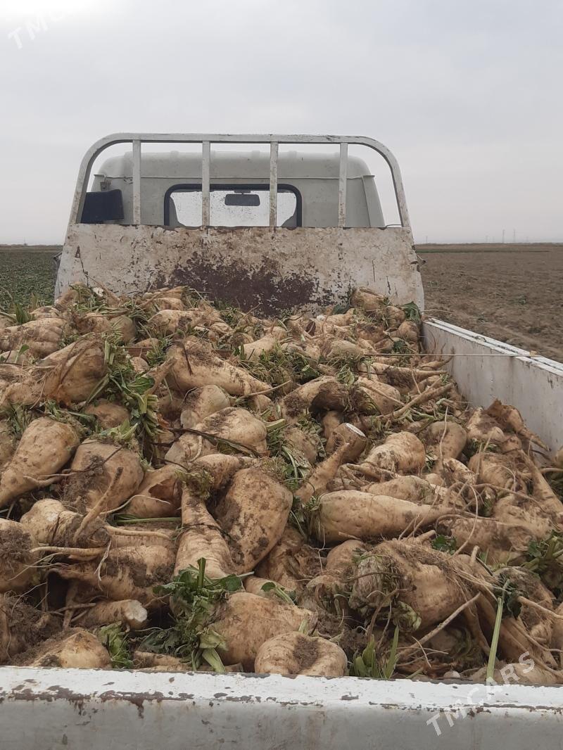 mal sugundur - Ак-Бугдайский этрап - img 2