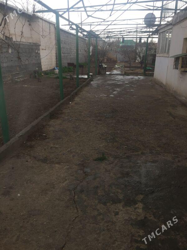 Änew daça - Änew - img 1