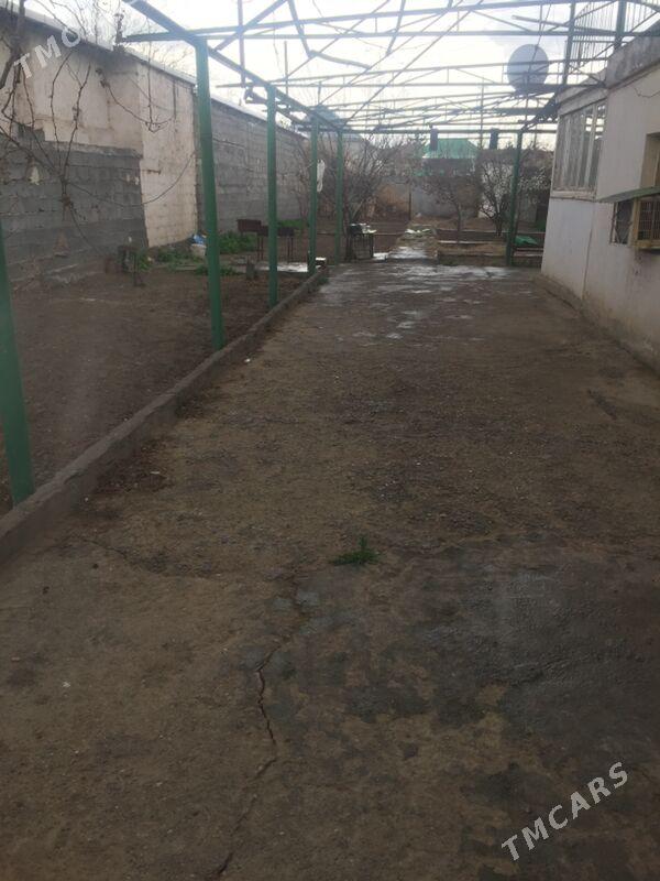 Änew daça - Änew - img 2