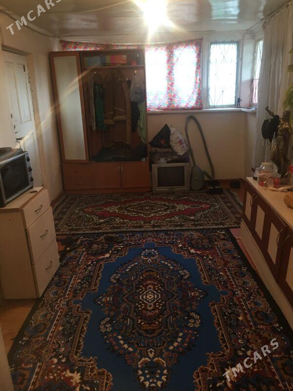 Änew daça - Änew - img 4