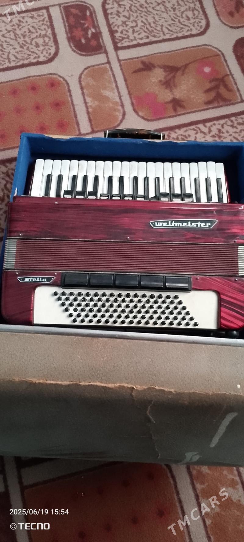 akardoyon waltmeyster - Туркменгала - img 2