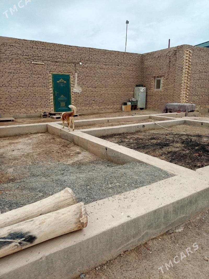 учаскс жай - Daşoguz - img 5