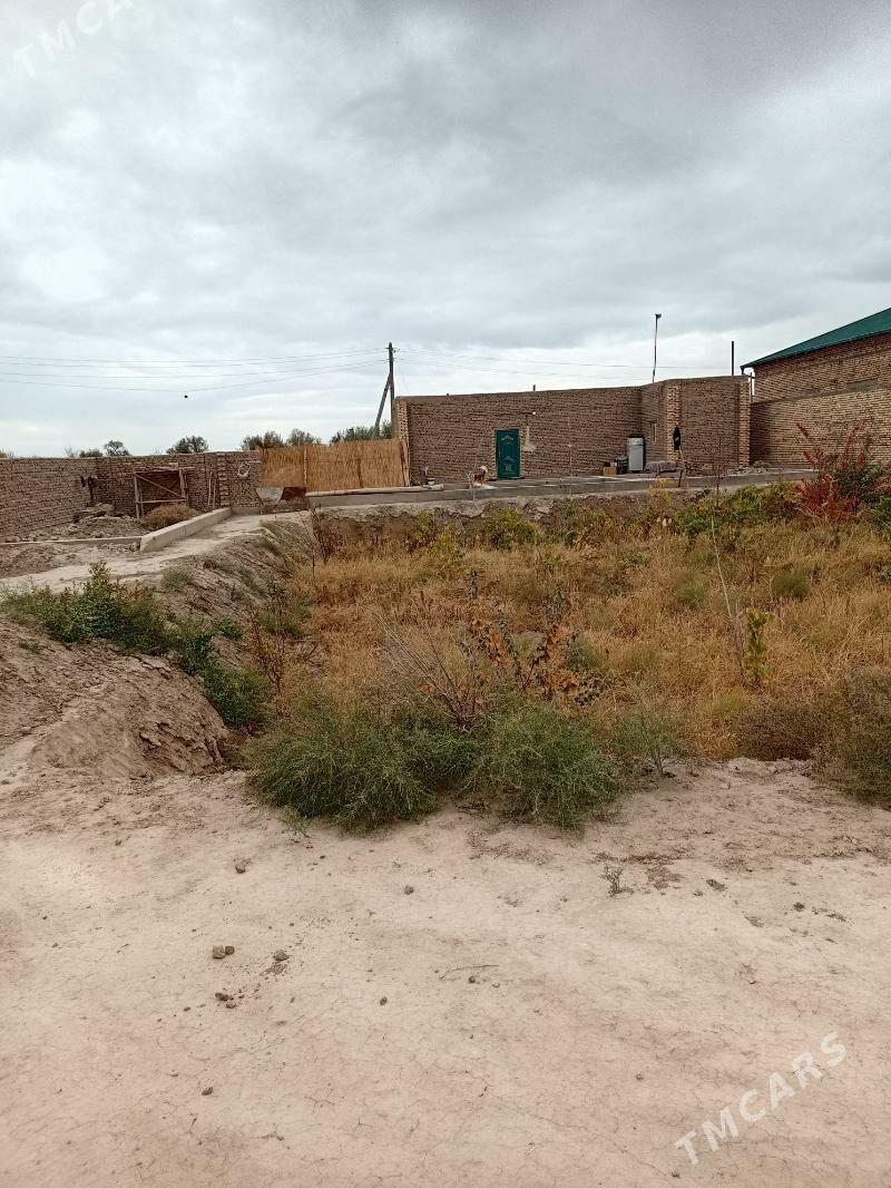 учаскс жай - Daşoguz - img 6