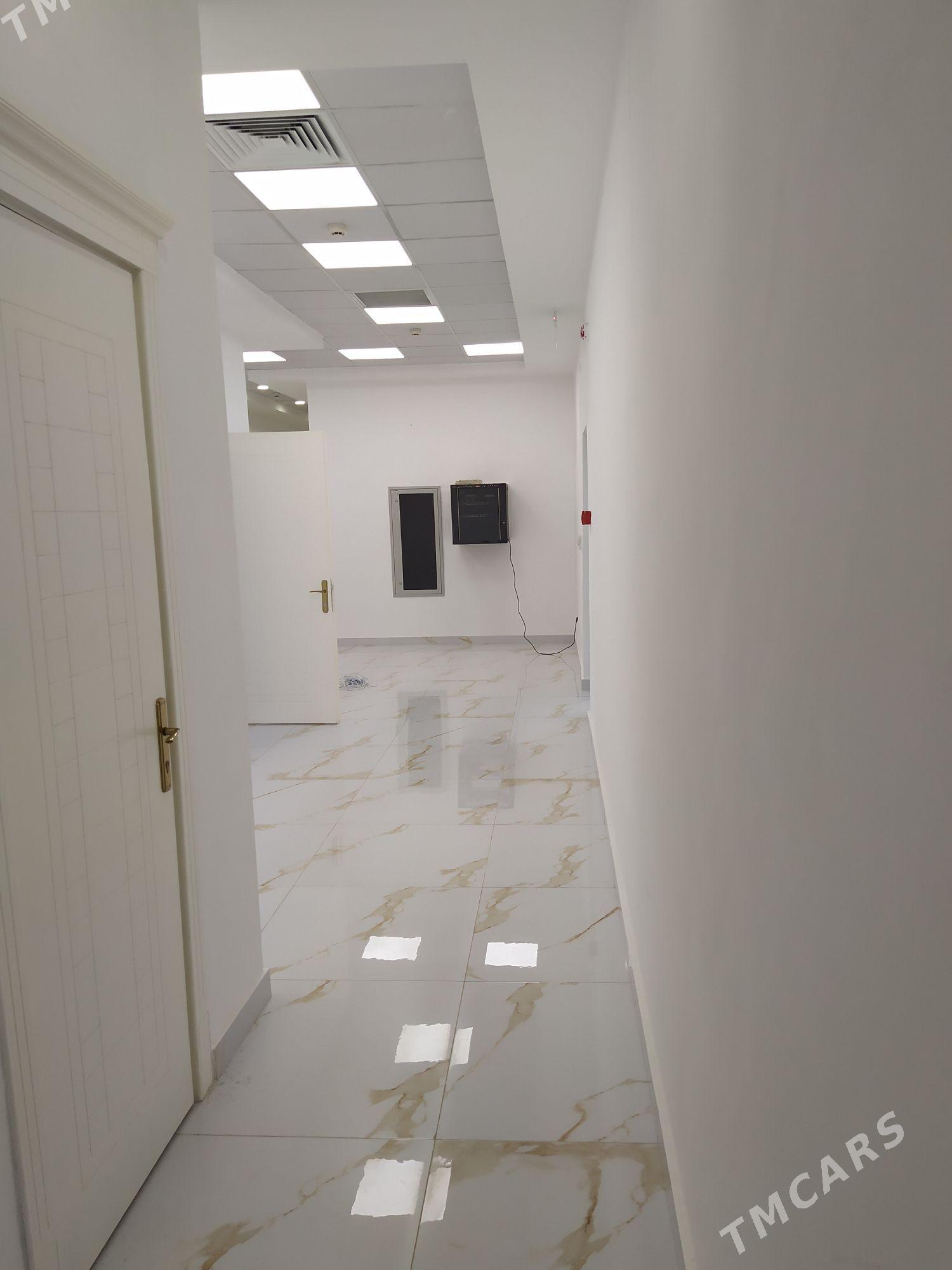 elitga moll - Ашхабад - img 5