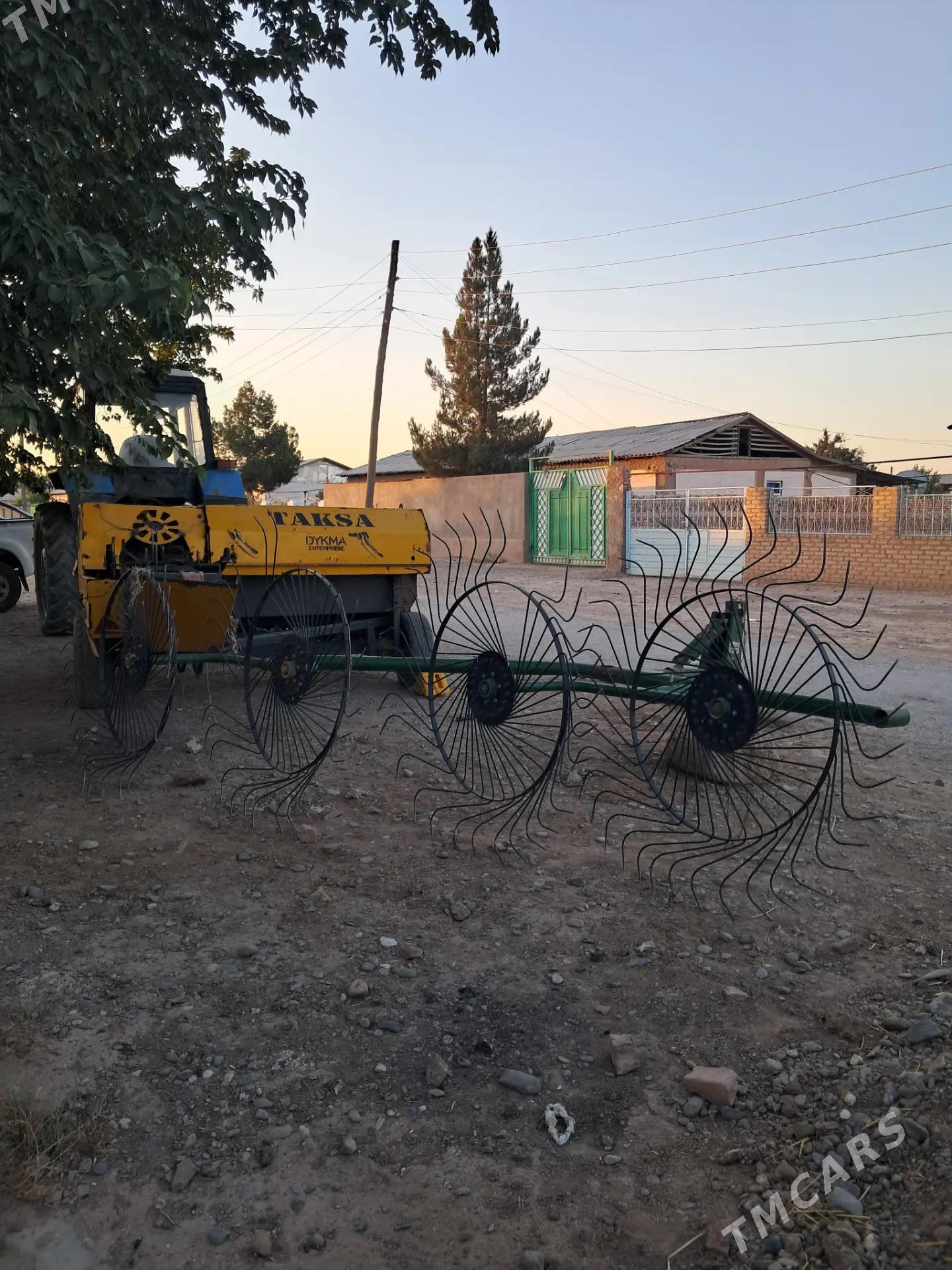 kip etyan enjam - Анев - img 1