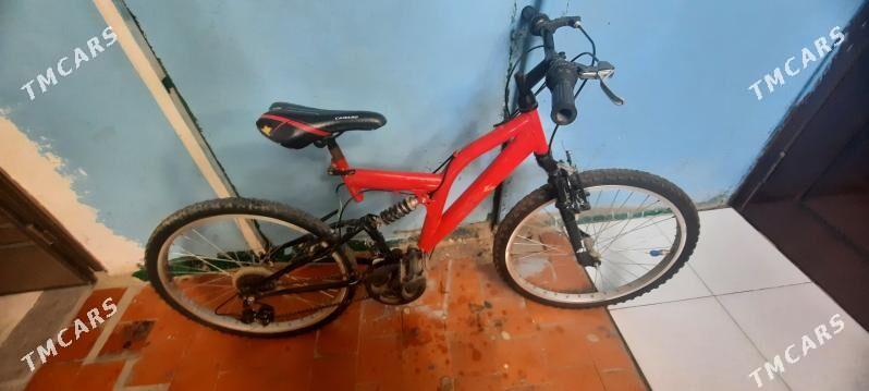 Tigir - Гаудан "В" - img 3