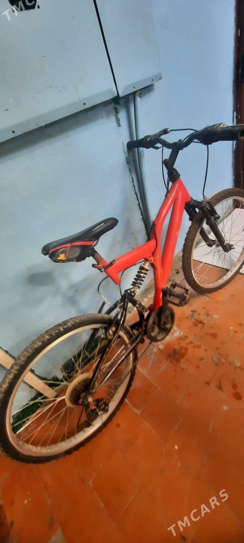 Tigir - Гаудан "В" - img 1