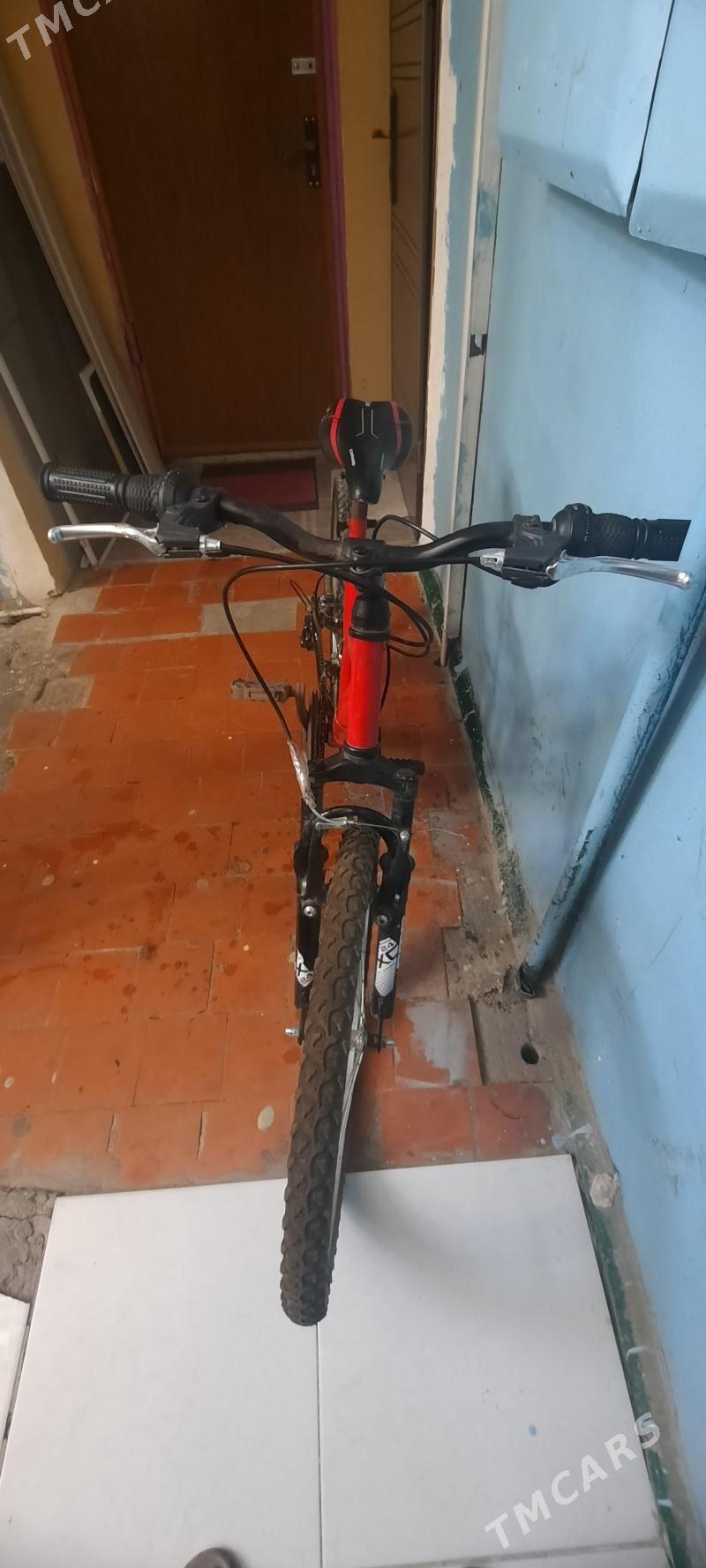 Tigir - Гаудан "В" - img 2